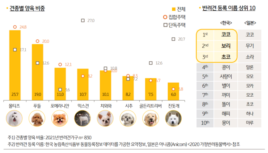 강아지 이름 인기 순위